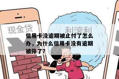 信用卡没逾期被止付了怎么办，为什么信用卡没有逾期被停了？