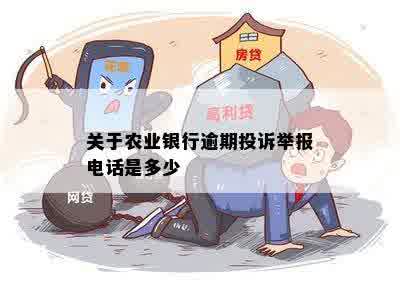 关于农业银行逾期投诉举报电话是多少