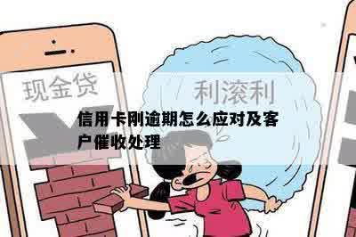 信用卡刚逾期怎么应对及客户催收处理