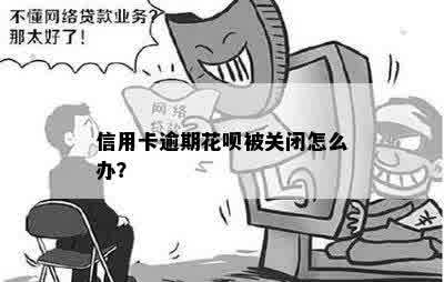 信用卡逾期花呗被关闭怎么办？