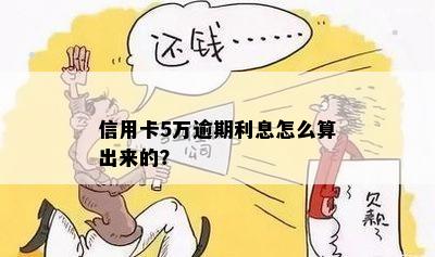 信用卡5万逾期利息怎么算出来的？