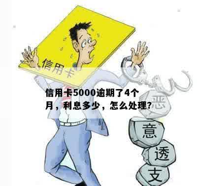 信用卡5000逾期了4个月，利息多少，怎么处理?