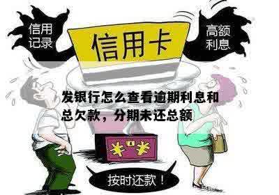 发银行怎么查看逾期利息和总欠款，分期未还总额