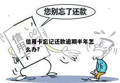 信用卡忘记还款逾期半年怎么办？