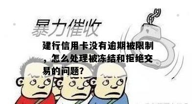 建行信用卡没有逾期被限制，怎么处理被冻结和拒绝交易的问题？