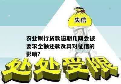 农业银行贷款逾期几期会被要求全额还款及其对征信的影响？