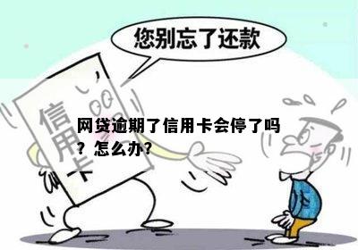 网贷逾期了信用卡会停了吗？怎么办？