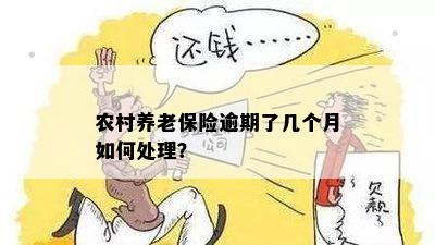 农村养老保险逾期了几个月如何处理？