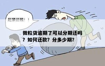 微粒贷逾期了可以分期还吗？如何还款？分多少期？