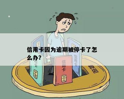 信用卡因为逾期被停卡了怎么办？