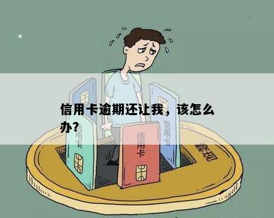 信用卡逾期还让我，该怎么办？