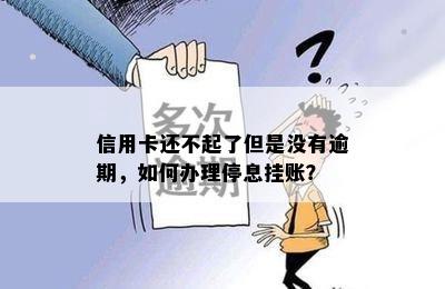 信用卡还不起了但是没有逾期，如何办理停息挂账？