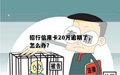 招行信用卡20万逾期了，怎么办？