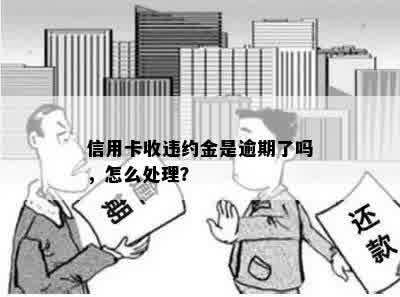 信用卡收违约金是逾期了吗，怎么处理？