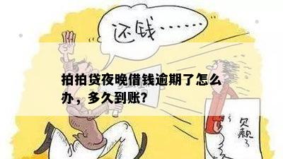 拍拍贷夜晚借钱逾期了怎么办，多久到账？