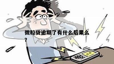 微粒贷逾期了有什么后果么？