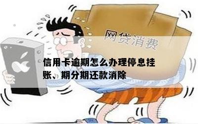 信用卡逾期怎么办理停息挂账、期分期还款消除