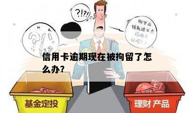 信用卡逾期现在被拘留了怎么办？