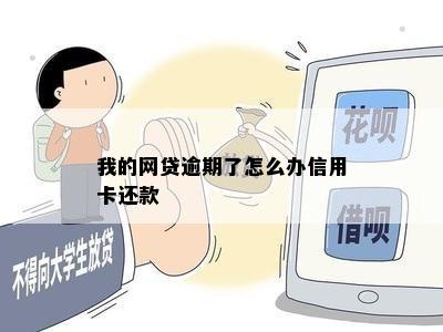 我的网贷逾期了怎么办信用卡还款