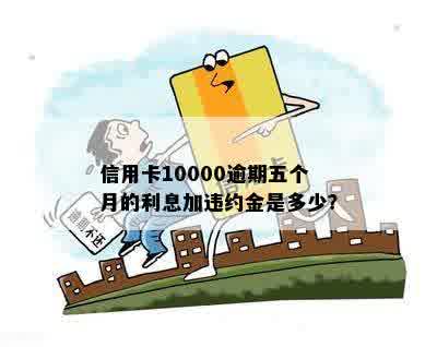 信用卡10000逾期五个月的利息加违约金是多少？