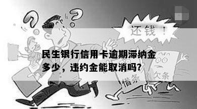 民生银行信用卡逾期滞纳金多少，违约金能取消吗？