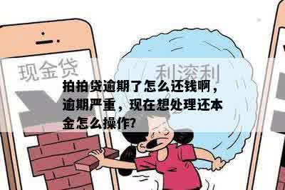 拍拍贷逾期了怎么还钱啊，逾期严重，现在想处理还本金怎么操作？