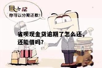 省呗现金贷逾期了怎么还，还能借吗？