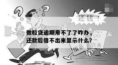 微粒贷逾期用不了了咋办，还款后借不出来显示什么？