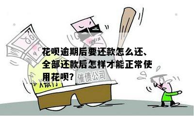 花呗逾期后要还款怎么还、全部还款后怎样才能正常使用花呗？