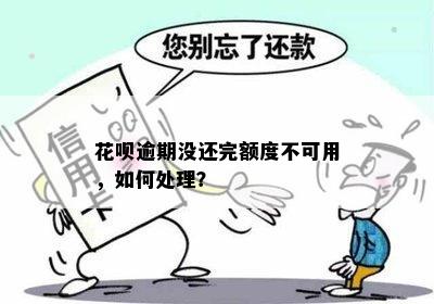 花呗逾期没还完额度不可用，如何处理？