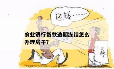 农业银行贷款逾期冻结怎么办理房子？