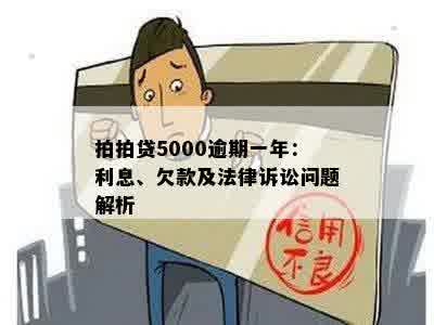 拍拍贷5000逾期一年：利息、欠款及法律诉讼问题解析