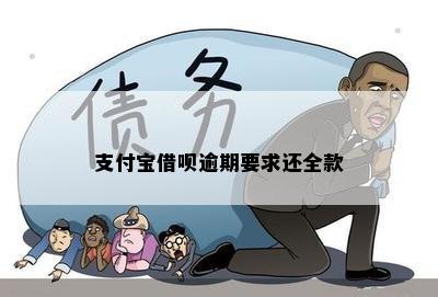 支付宝借呗逾期要求还全款