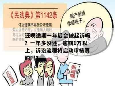 还呗逾期一年后会被起诉吗？一年多没还，逾期1万以上，诉讼流程将启动审核真的吗？