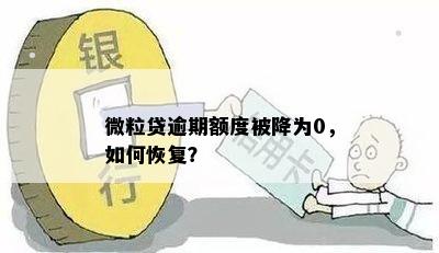 微粒贷逾期额度被降为0，如何恢复？