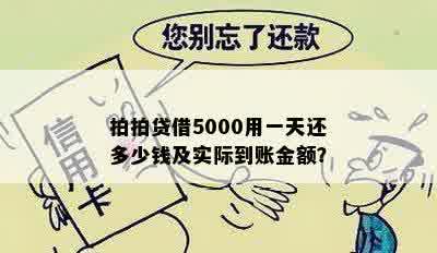 拍拍贷借5000用一天还多少钱及实际到账金额？