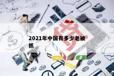 2021年中国有多少老被抓