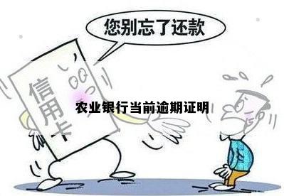 农业银行当前逾期证明