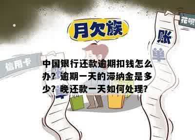 中国银行还款逾期扣钱怎么办？逾期一天的滞纳金是多少？晚还款一天如何处理？