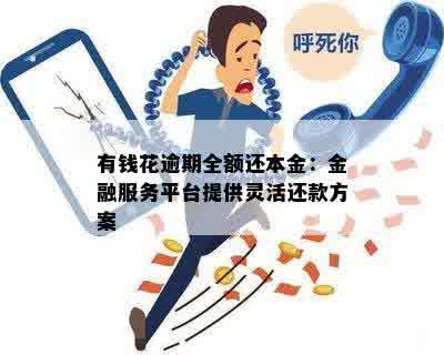 有钱花逾期全额还本金：金融服务平台提供灵活还款方案