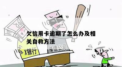 欠信用卡逾期了怎么办及相关自救方法