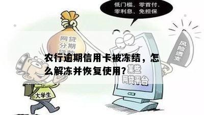 农行逾期信用卡被冻结，怎么解冻并恢复使用？