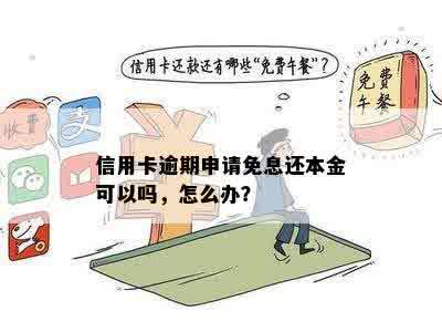 信用卡逾期申请免息还本金可以吗，怎么办？