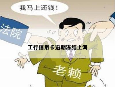 工行信用卡逾期冻结上海