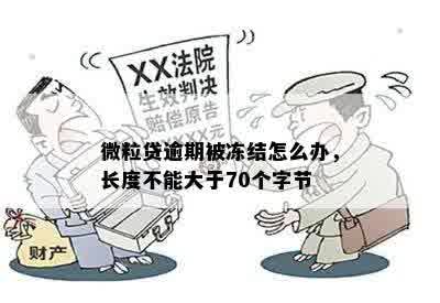 微粒贷逾期被冻结怎么办，长度不能大于70个字节