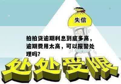 拍拍贷逾期利息到底多高，逾期费用太高，可以报警处理吗？