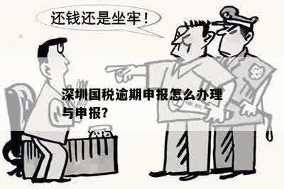 深圳国税逾期申报怎么办理与申报？