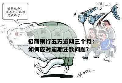 招商银行五万逾期三个月：如何应对逾期还款问题？