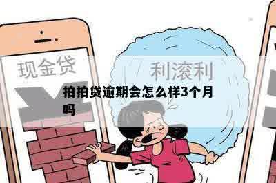 拍拍贷逾期会怎么样3个月吗