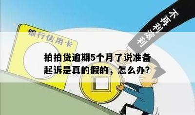 拍拍贷逾期5个月了说准备起诉是真的假的，怎么办？